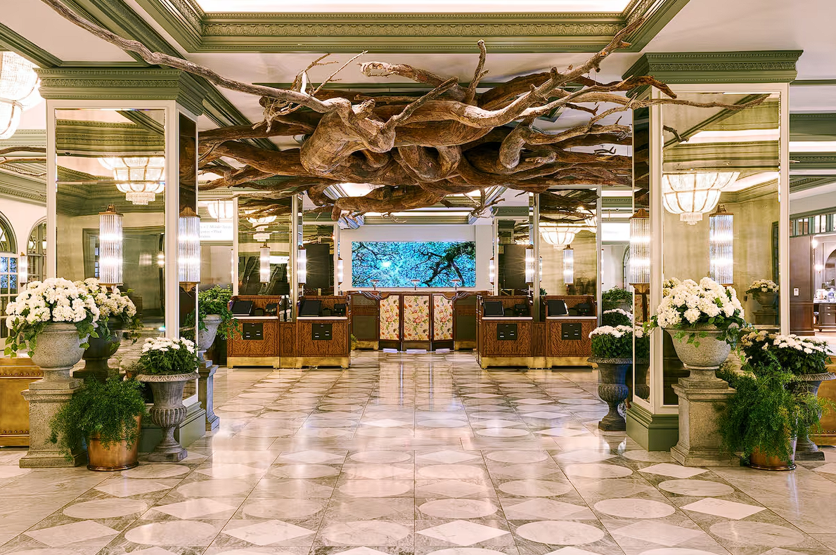 Park MGM Las Vegas by  RoomZivo  : Your ultimate destination for relaxation and excitement